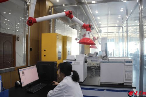走進(jìn)南極維康透明工廠 高拍儀下的健康食品生產(chǎn)之旅
